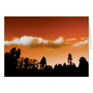 Sunset trees