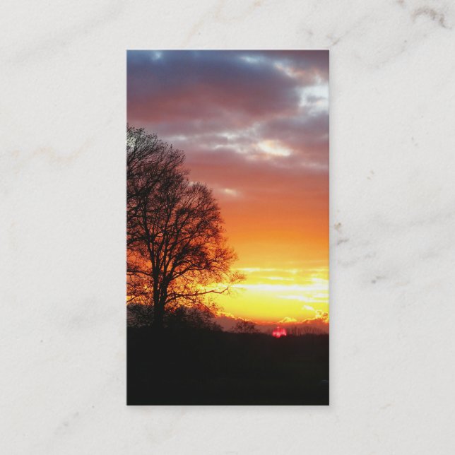 Sunset Trees in Nature Business Cards (Front)
