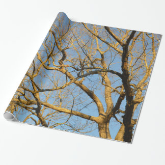 Sunset Trees Wrapping Paper