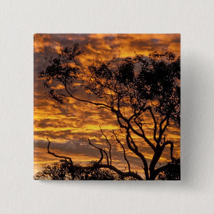 Sunset, Uluru-Kata Tjuta National Park, 15 Cm Square Badge