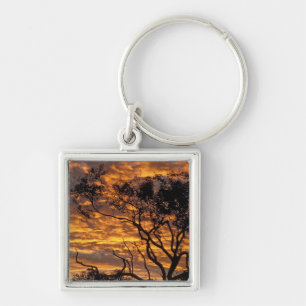 Sunset, Uluru-Kata Tjuta National Park, Key Ring