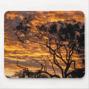 Sunset, Uluru-Kata Tjuta National Park, Mouse Mat