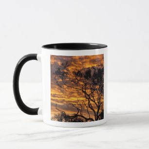 Sunset, Uluru-Kata Tjuta National Park, Mug