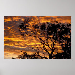 Sunset, Uluru-Kata Tjuta National Park, Poster