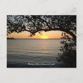 Sunset under tree postcard