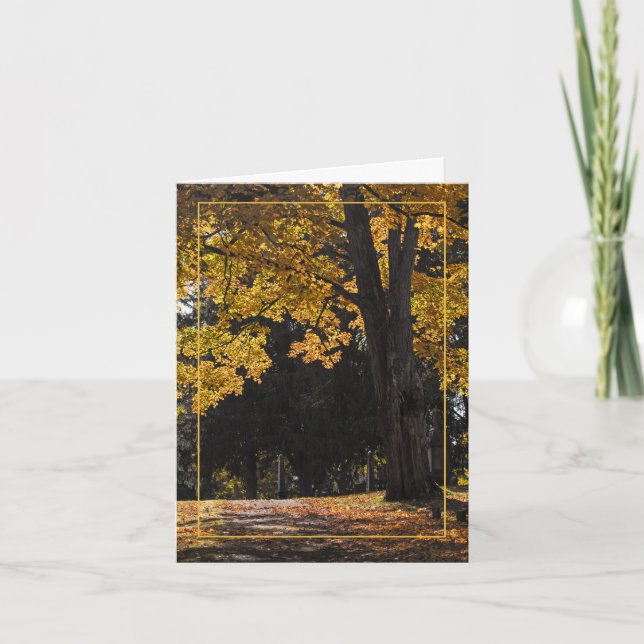 Sunset Walk Card (Front)