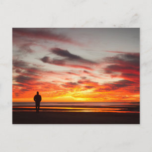 Sunset Walk Postcard