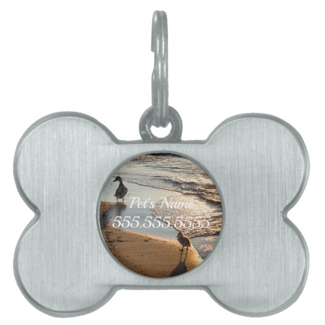 Sunset Walk With Mummy Pet ID Tag (Front)