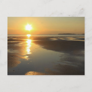 Sunset Wellfleet Bay Wildlife Sanctuary Cape Cod Postcard
