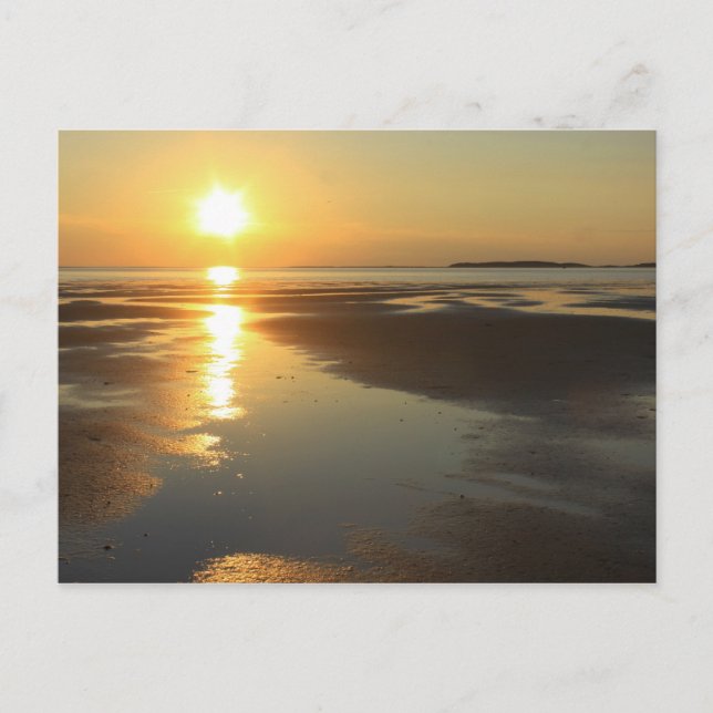 Sunset Wellfleet Bay Wildlife Sanctuary Cape Cod Postcard (Front)