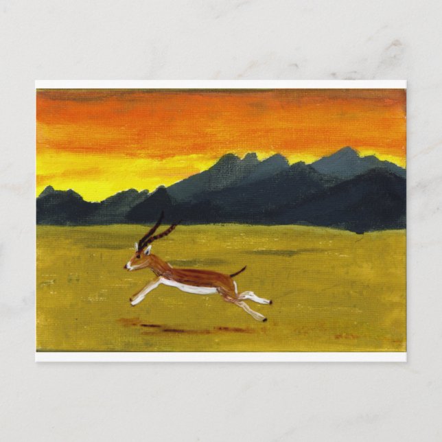 Sunset Wildlife Painting Wild Animal Postcard (Front)