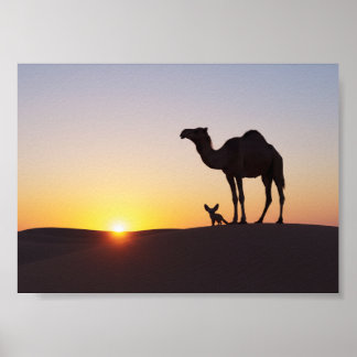 Sunset with Camel and Fennec Fox Poster