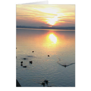 sunset with ducks in the lake,greycard,blanko