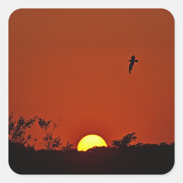 Sunset With Gull Sticker (Front)
