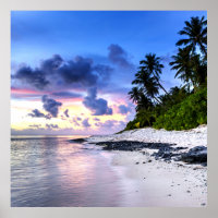 Sunset with Palm Trees and rocky beach