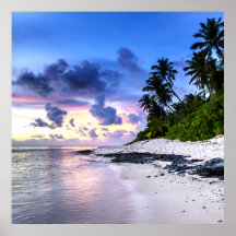 Sunset with Palm Trees and rocky beach