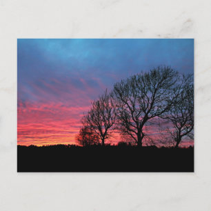 Sunset with red sky postcard