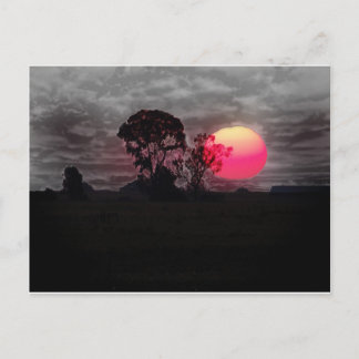 Sunset With Tree Postcard