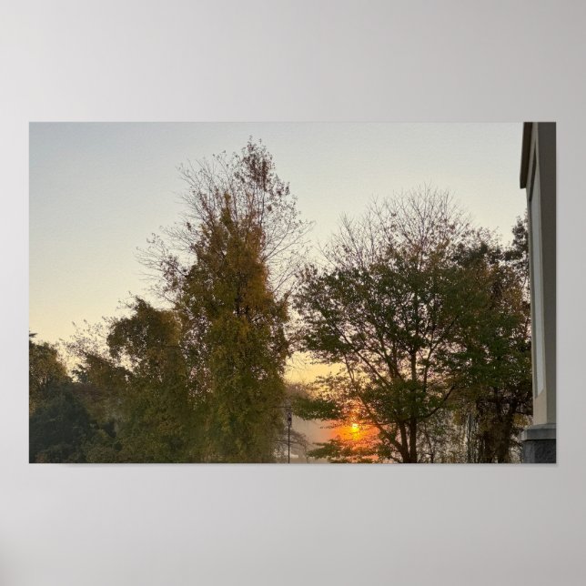 Sunset with Trees Poster (Front)