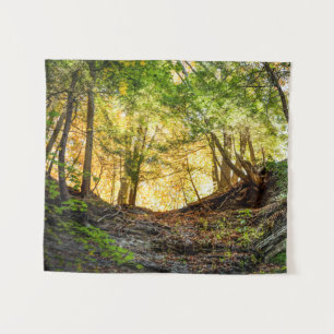 Sunset Woods Forest Trees Nature Small Tapestry