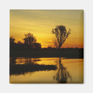 Sunset, Yellow Water Billabong Magnet
