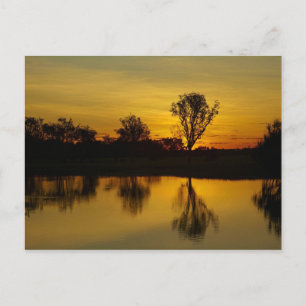 Sunset, Yellow Water Billabong Postcard