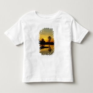 Sunset, Yellow Water Billabong Toddler T-Shirt