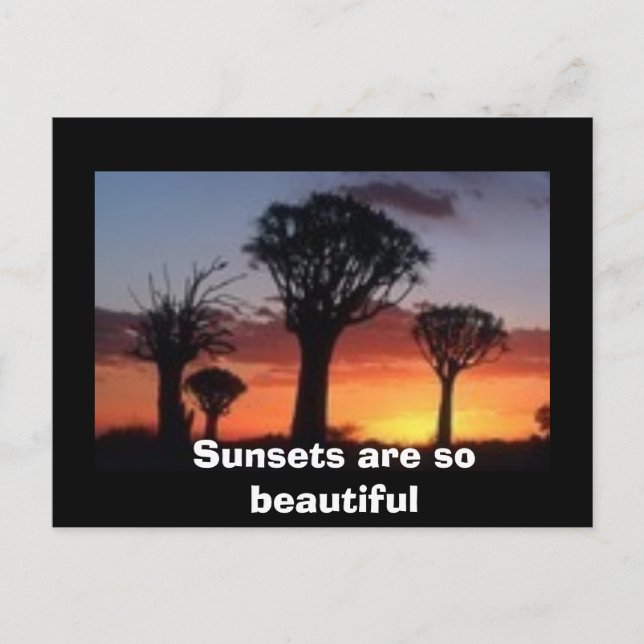 Sunsets are so beautiful postcard (Front)