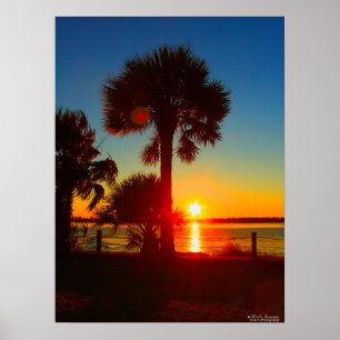 Sunsets & Palm Trees Poster