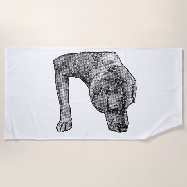 Sunshine And Dots Beach Towel (Front)