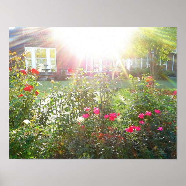 SUNSHINE AND ROSES poster (Front)