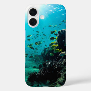 Sunshine and Tropical Fish iPhone 16 Case