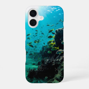 Sunshine and Tropical Fish iPhone 16 Case