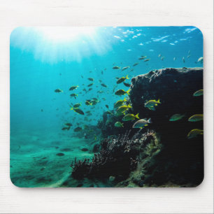 Sunshine and Tropical Fish Mouse Mat