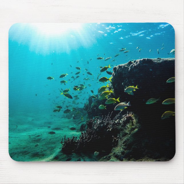 Sunshine and Tropical Fish Mouse Mat (Front)