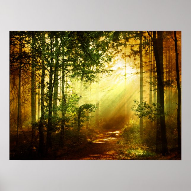 Sunshine bird poster (Front)