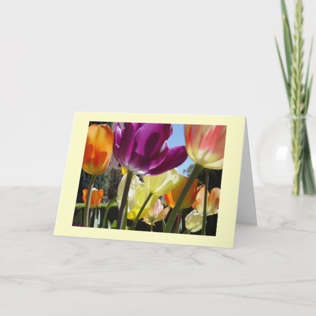 Sunshine Card (Front)