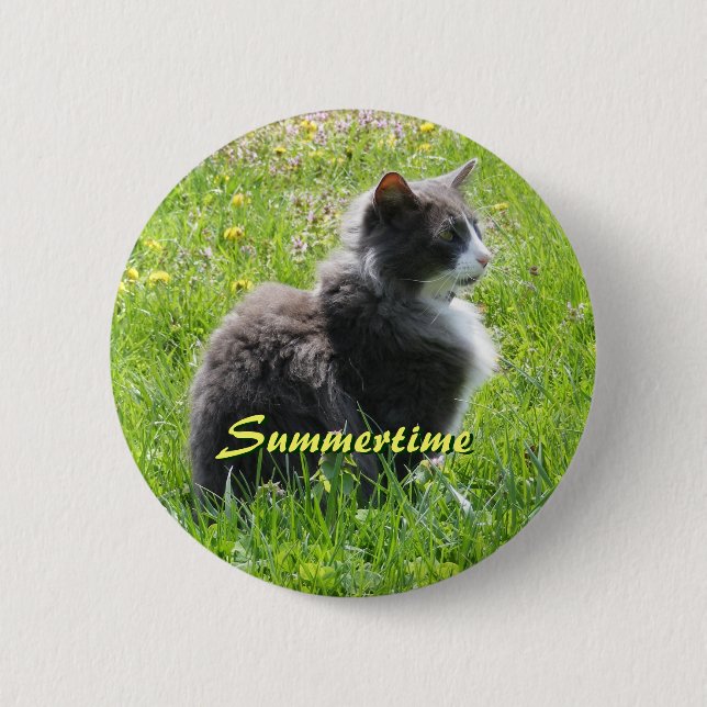 Sunshine Cat Button (Front)