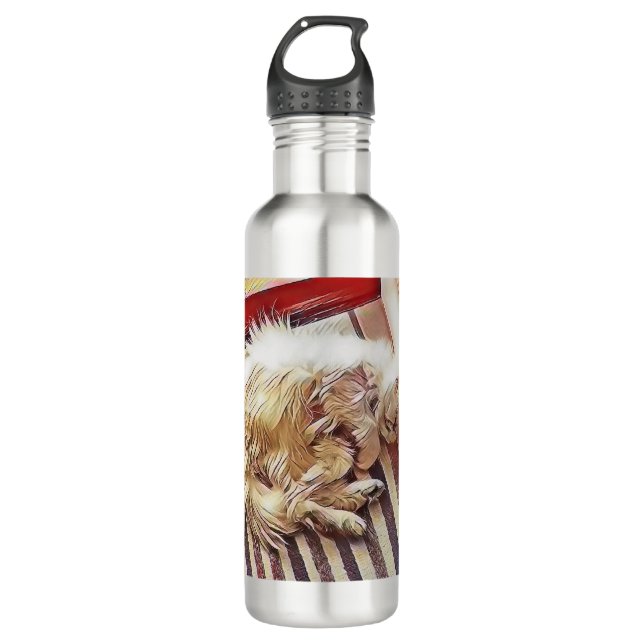 Sunshine Charlie Persian Cat Merchandise 710 Ml Water Bottle (Front)