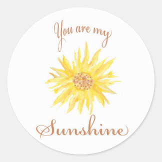 Sunshine Classic Round Sticker