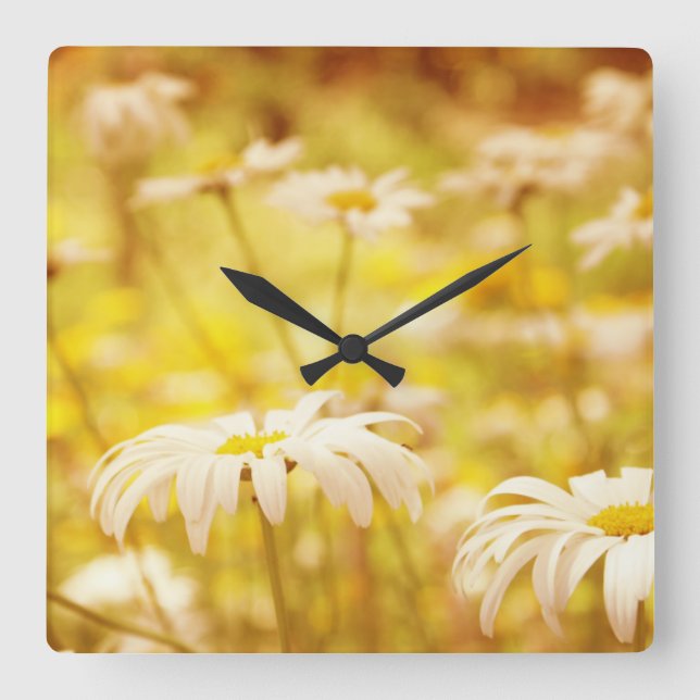 Sunshine Daisies Floral Wall Clock (Front)