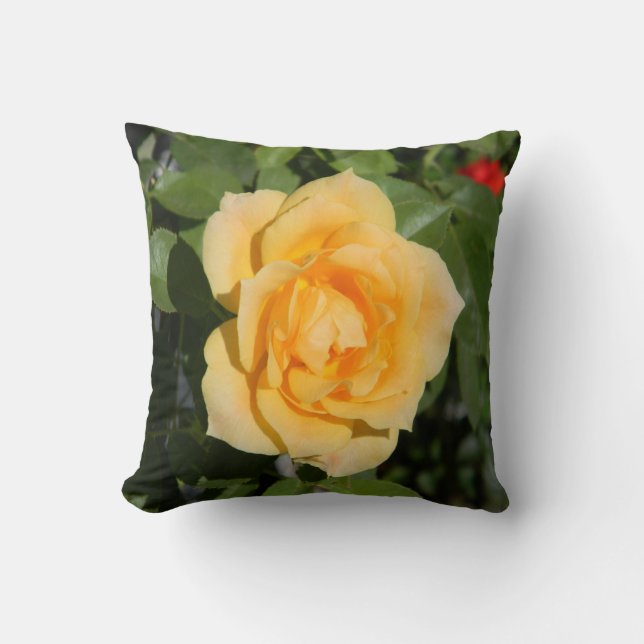Sunshine Delight... Cushion (Front)