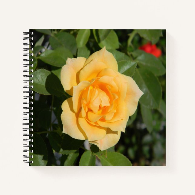 Sunshine Delight... Notebook (Front)