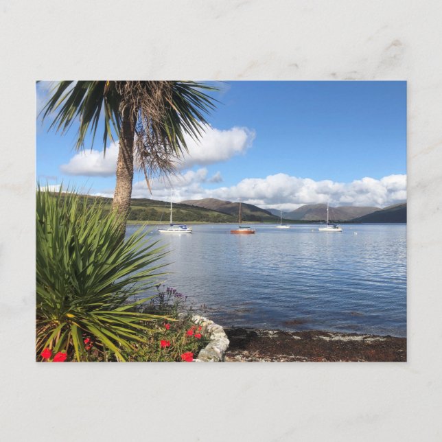 Sunshine in Scotland. Bay with Palm Trees & Yachts Postcard (Front)