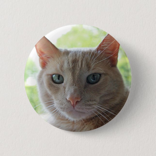 Sunshine Kitty 6 Cm Round Badge (Front)