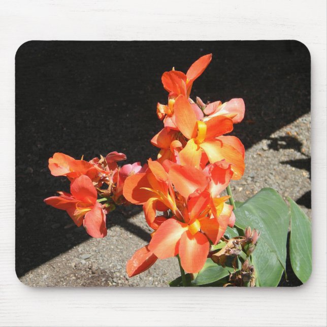 Sunshine Love... Mouse Mat (Front)