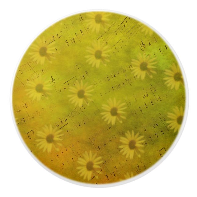 Sunshine Mixed Media Ceramic Knob (Front)