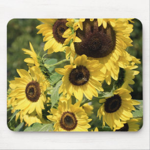 Sunshine on Stalks Mouse Mat
