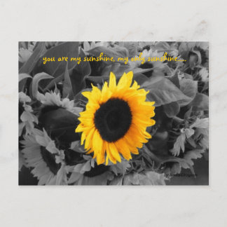 Sunshine post card