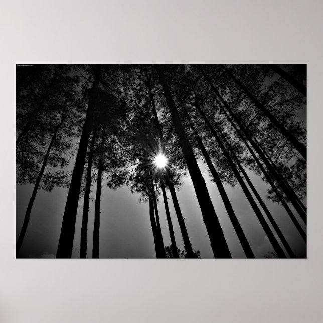 Sunshine, Poster (Front)